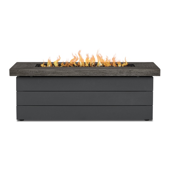 RealFlame 1680LP Owner's Manual