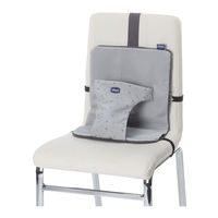 Chicco Wrappy Seat Instructions For Use Manual
