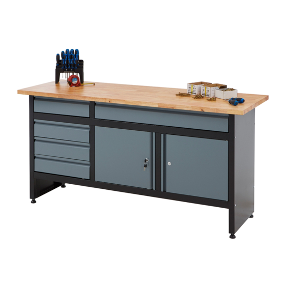 BiGDUG GLWB171 Manual To Assembly & Usage