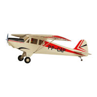 THE WORLD MODELS PAULISTINHA P-56 EP Instruction Manual