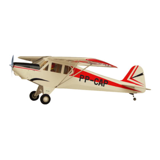 THE WORLD MODELS PAULISTINHA P-56 Instruction Manual
