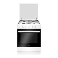 Amica 6020GG4.33ZpQW Instruction Manual