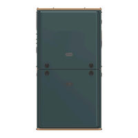 York RG19 Series Installation Manual