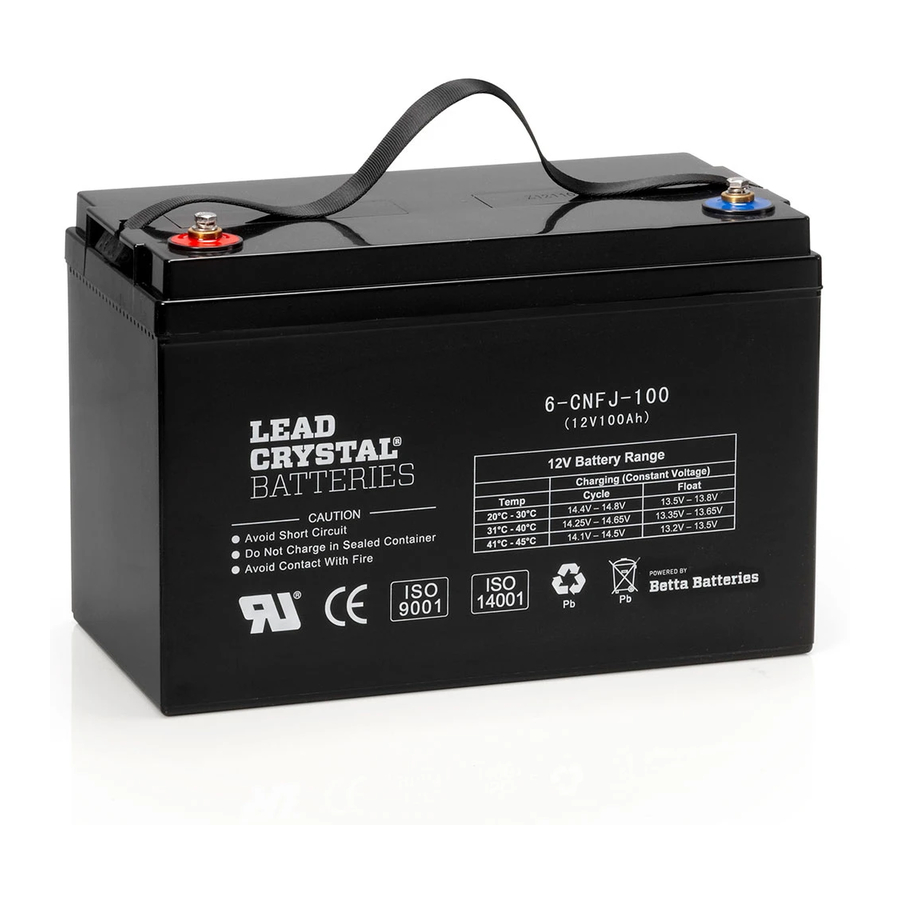 lead crystal CNFJ Safety, Storage, Operations And Maitenance Manual