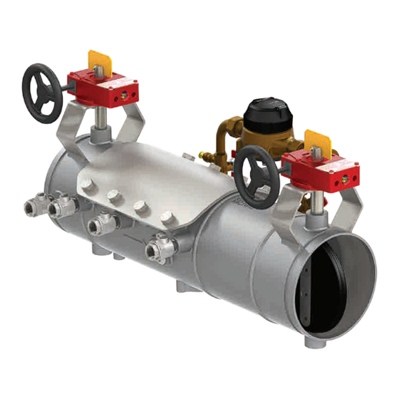 Watts AMES Deringer 20X Valve Manuals