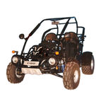 PGO Bug Rider BR-250 Service Manual