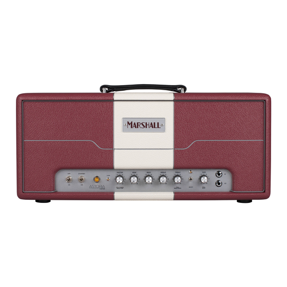 Marshall Amplification AST2C Owner's Manual