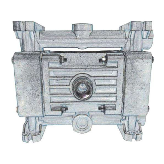 ALPHA DYNAMIC PUMPS Ruby Black Line 010 Non Metallic Manuals