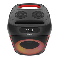Niceboy PARTY BOOM 80W User Manual