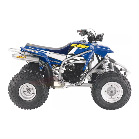 Yamaha BLASTER YFS200V Owner's Manual