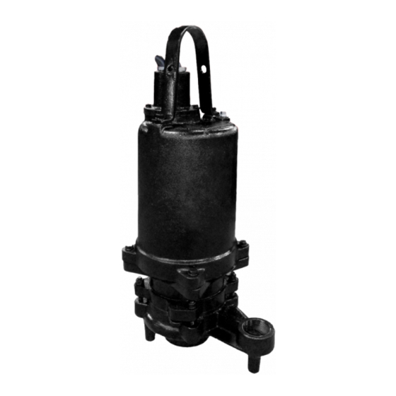 Champion Pump CPG3022 Manual