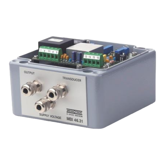 Messotron MBI 46.31 Series Operating Instructions Manual