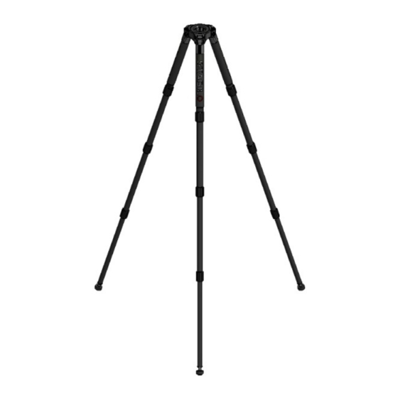 Cartoni STABILO User Manual