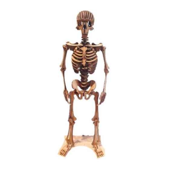 Calico Craft Parts FREE STANDING SKELETON Assembly Instructions Manual