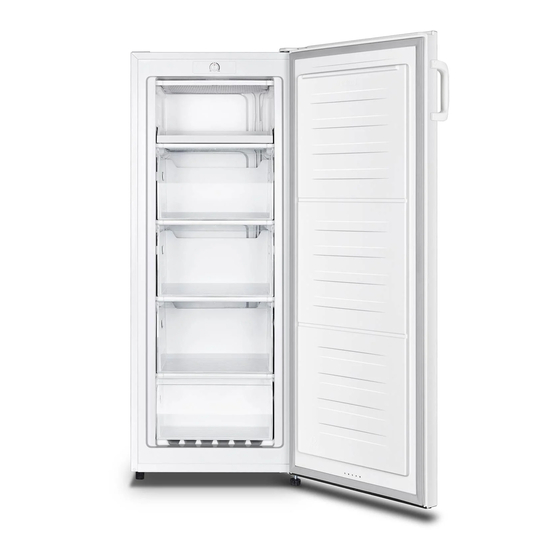 elvita CFS3145V User's Manual & Installation Manual