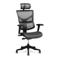 X-CHAIR X2 Assembly Instructions And Adjustment Manual