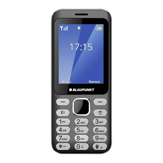 Blaupunkt FL 02 Quick User Manual