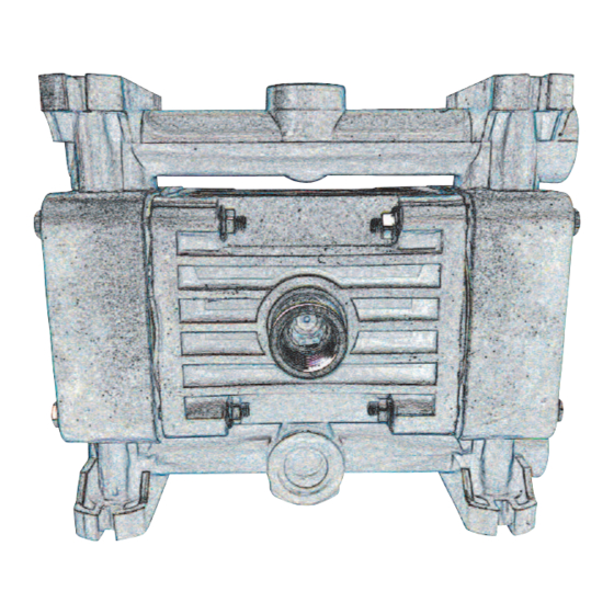 Ruby 010 AISI 316 Installation, Operation And Maintenance Manual