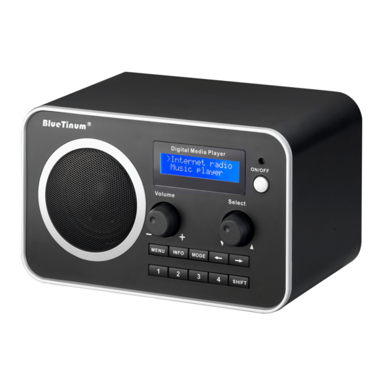 BlueTinum BT-H1506A Manual