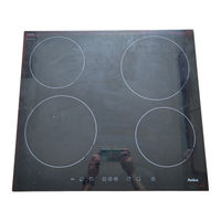 Amica PG4VI515FTB4P3 Instruction Manual