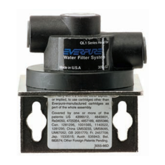 Everpure QL1 Single Head EV9256-17Q Specification Sheet