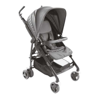 Maxi-Cosi Dana Manual
