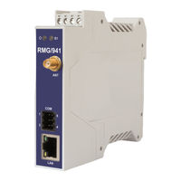 SSV RMG/941C Manual