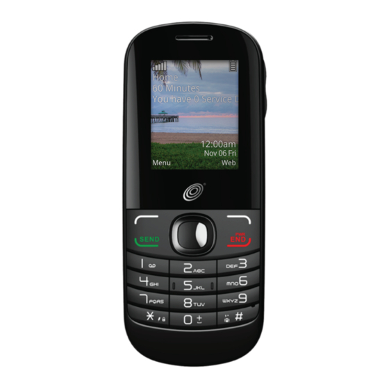 Alcatel A207BG User Manual