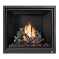 Fireplacextrordinair ProBuilder 42 CF Manual