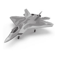 Modster F22 RAPTOR Manual