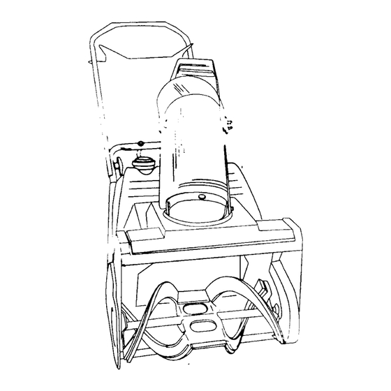 Cub Cadet 317-262-100 Owner's Manual