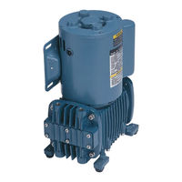 IWAKI PUMPS APN-P450 Instruction Manual