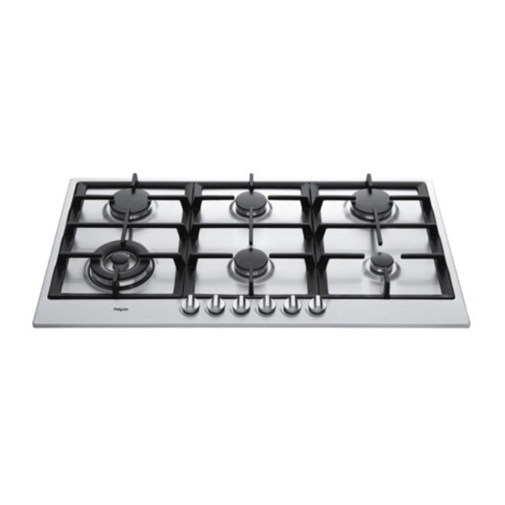 Pelgrim GK299 Manual