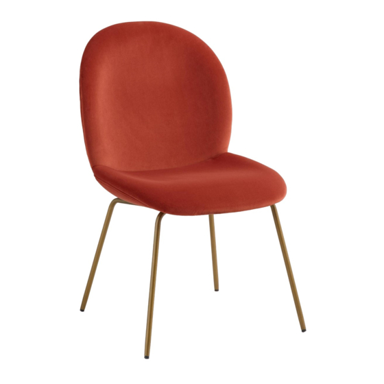 World Market VIVIAN CHAIR 556233 Assembly Instructions Manual