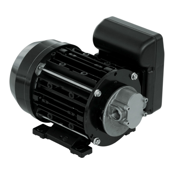 Piusi VISCOMAT 60/2 AC Installation, Use And Maintenance Manual