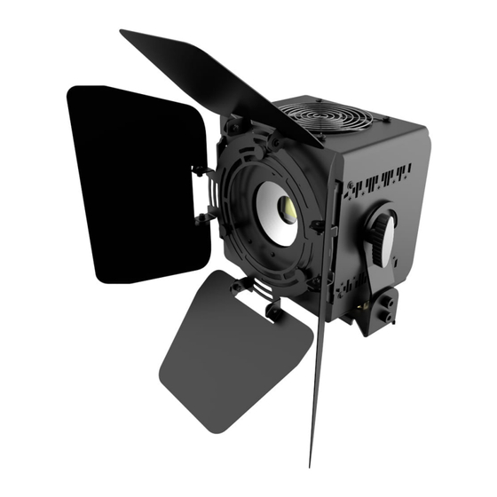 Flash professional P7110028 User Manual