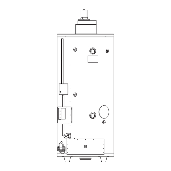 Rheem Commercial Power Direct Vent Water heater Use And Care Manual