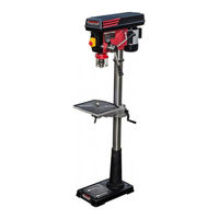 Lumberjack DP20-1630F Safety And Operating Manual