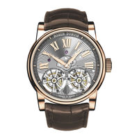 Roger Dubuis RD100 Instructions For Use Manual