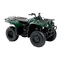 Offroad Vehicle Yamaha BIG BEAR PROFESSIONAL 400 YFM400FPT Owner's Manual
