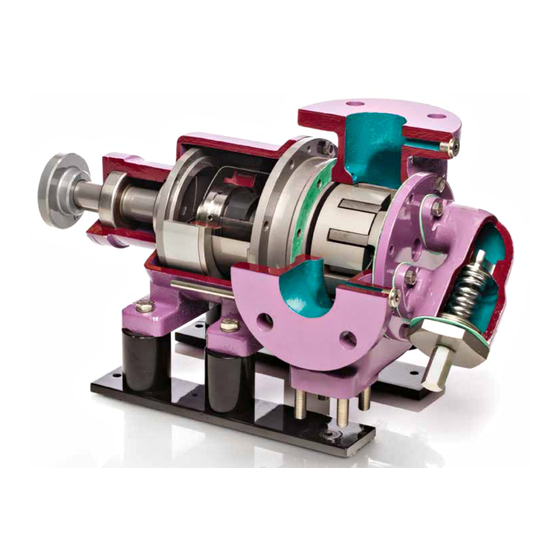 Victor Pumps R250 Instruction And Maintenance Manual