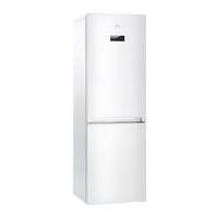 Beko RCNA320E30W Instructions Of Use