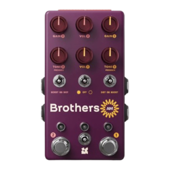 Chase Bliss Audio Brothers AM Manual