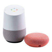 Google Home Manual