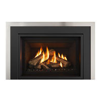 Regency Fireplace Products Gi33LE Owners & Installation Manual