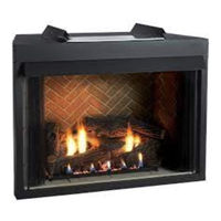 Empire Comfort Systems SELECT VFS42FB0F-6 Installation Instructions And Owner's Manual