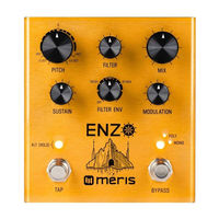 Meris ENZO Manual