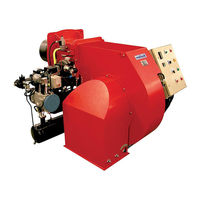 Ecoflam Multiflam 300.1 Manual