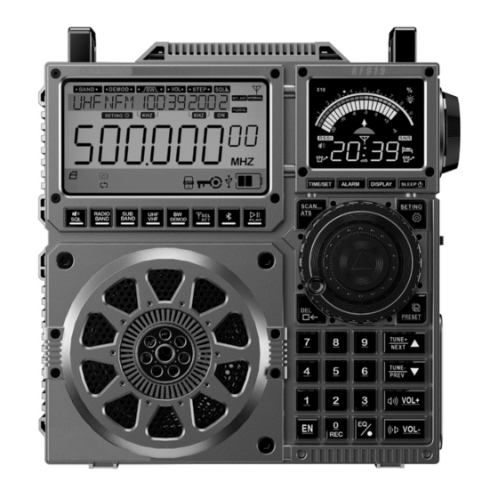 Raddy RF919 Extended Manual