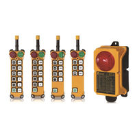 Telecrane F24+ Series User Manual